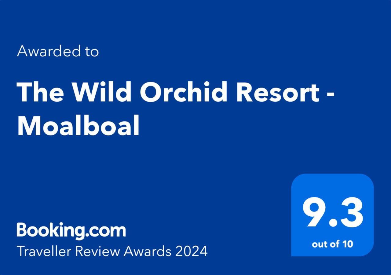 The Wild Orchid Resort - Moalboal Zewnętrze zdjęcie